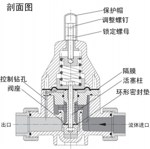 不銹鋼背壓閥/安全閥剖面圖